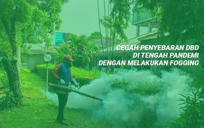 Jasa Fogging Nyamuk di Jakarta