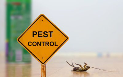 Jasa Pest Control di Karawang: Solusi Terbaik untuk Perusahaan dan Retail