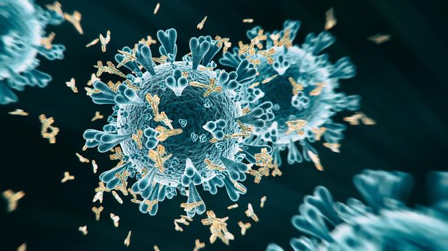 3 varian baru virus corona
