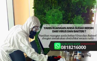 Jasa Desinfektan Restoran & Retail di Jabodetabek