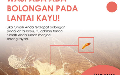 Anti Rayap Jakarta Pusat