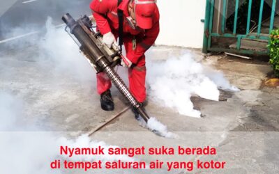 Jasa Fogging Nyamuk DBD di Jakarta