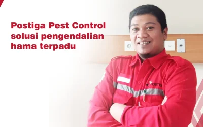 Pentingnya Jasa Pest Control untuk Lingkungan Instansi Pemerintahan