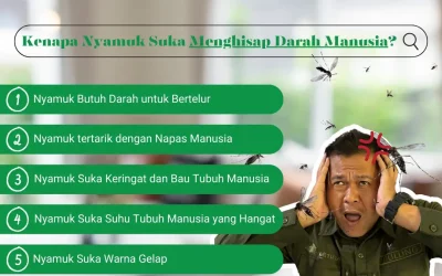 Musim Hujan Datang, Nyamuk pun Bermunculan