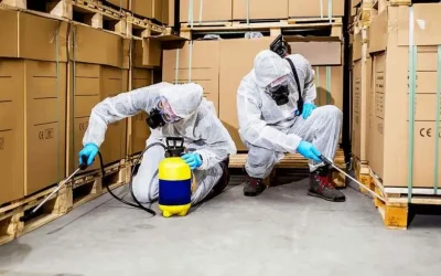 Manfaat Fumigasi untuk Sektor Bisnis: Investasi Perlindungan Jangka Panjang