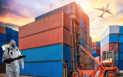 Jasa Fumigasi Kontainer Ekspor: Solusi Wajib untuk Kelancaran Pengiriman Internasional