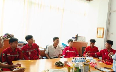 Postiga – Perusahaan Jasa Anti Rayap Terkemuka