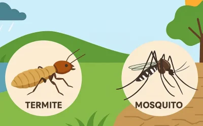 Waspada! Musim Peralihan Picu Ledakan Populasi Rayap dan Nyamuk